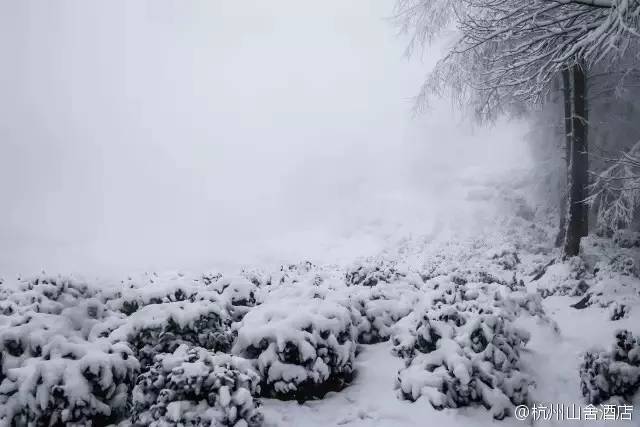 杭州旅游攻略酒店住宿三天两晚,杭州旅游攻略住宿排名