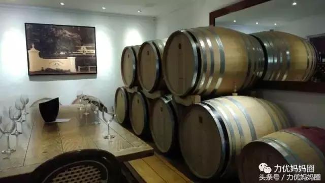 麻麻，为什么不能带我去非洲！