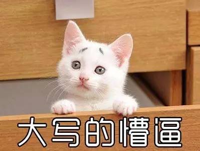 虞姬为什么难上弓,虞姬为什么不能失败一次