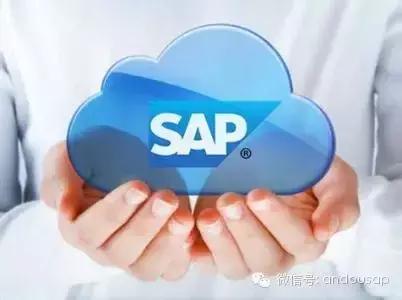 sap高薪就业,sap是高薪工作吗