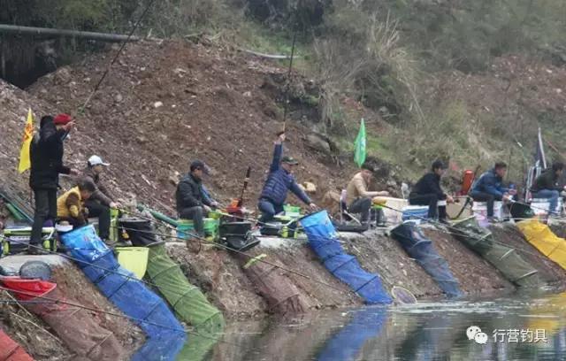 慈利县钓鱼比赛,湖南钓鱼比赛湘窖杯冠军