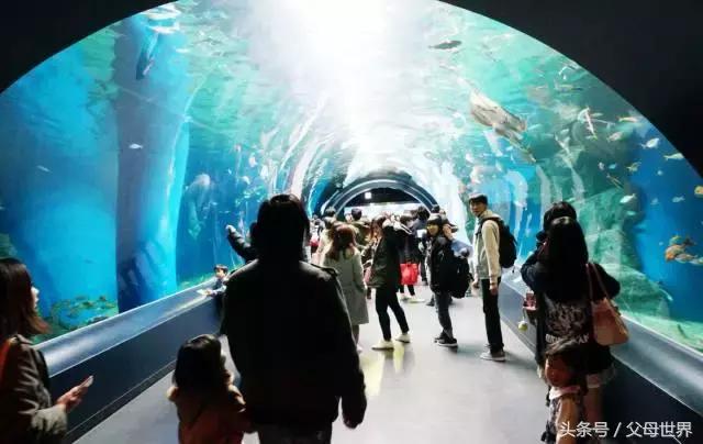 一个从来没用过童车的爸爸抱着孩子去日本水族馆吓人了!