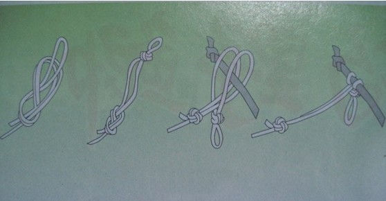 新手钓鱼入门基本知识绑线,四海钓鱼指定鱼线