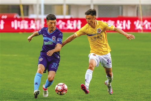 呼和浩特小草,呼和浩特小草图片