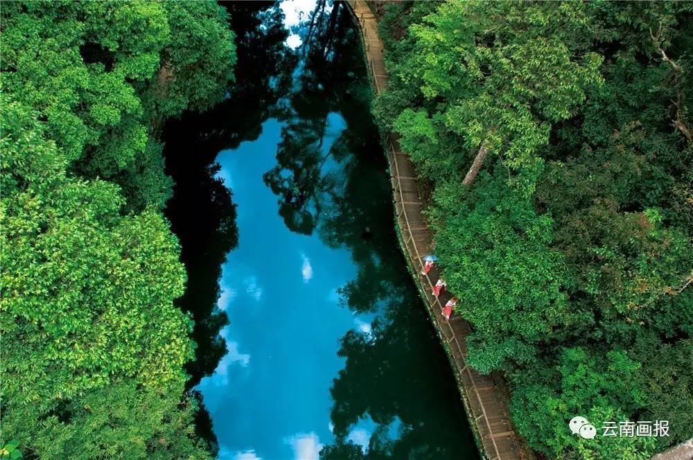 云南省什么地方风景区最好,云南生态环境最好的地方