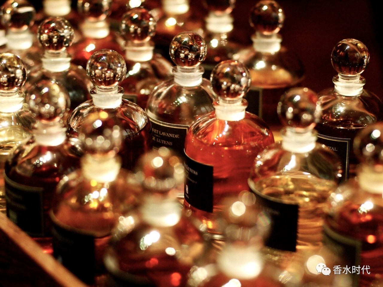 沙龙香和小众香水哪个好,芦丹氏黑色曼陀罗香水好闻吗