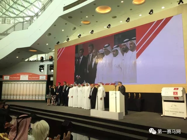 2024迪拜赛马世界杯新纪录,迪拜赛马世界杯黑马