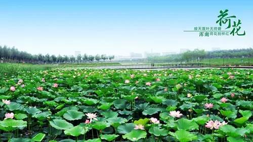 沈阳市大事件,沈阳大事件历史