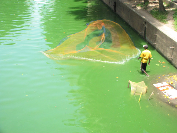 斯里兰卡旅游攻略是什么,斯里兰卡旅游攻略推荐亲子