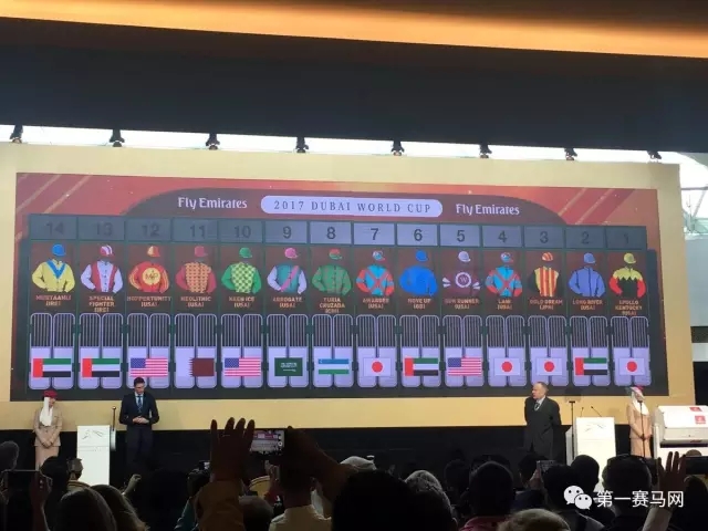 2024迪拜赛马世界杯新纪录,迪拜赛马世界杯黑马