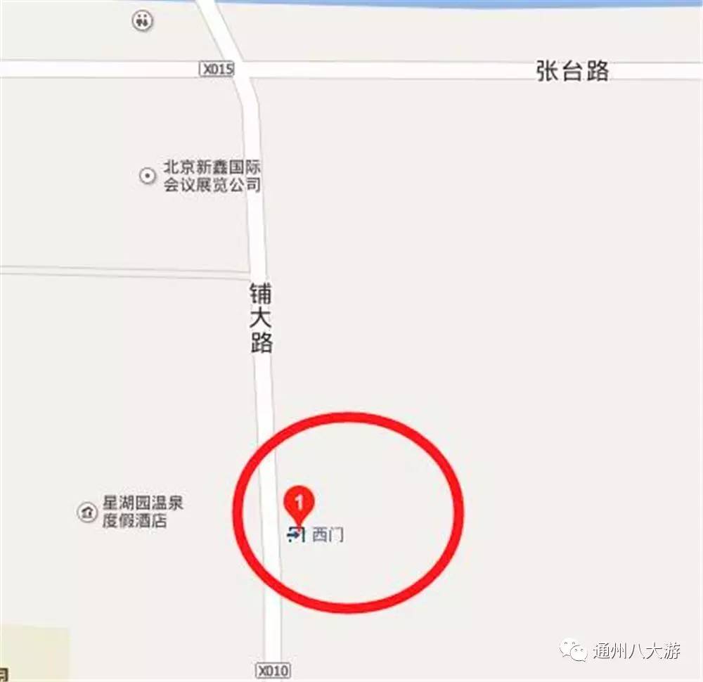 小小的世界大大的你免费观看,小小的世界大大的快乐