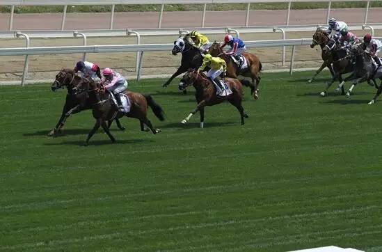 成都市重大体育赛事,成都拟举办的国际体育赛事