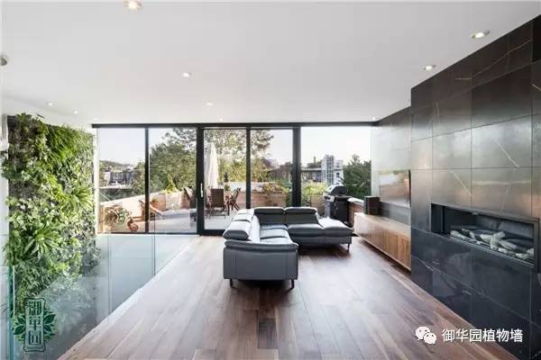 禅意风植物墙,特色植物墙