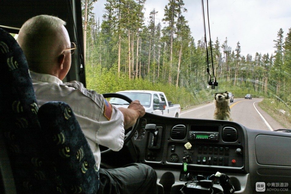 “敌兵”驾车我旅游
