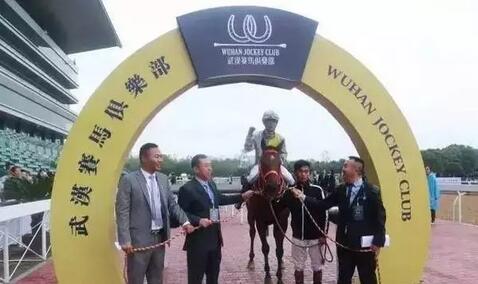 13连胜短途王“蒙骏荣誉”报名种马评选