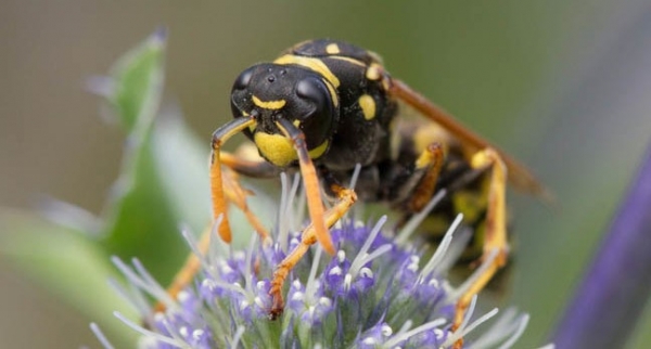 inteloptane提升什么性能,英特尔optane怎么装