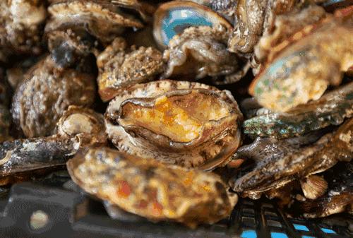 大连空运来的海洋馆，这家海鲜仓库简直是大海的搬运工对不起，你们的皮皮虾已经被我炒了