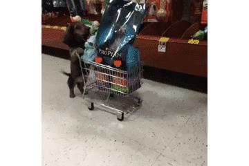 你离着属于自己的宜家，只有一天的距离