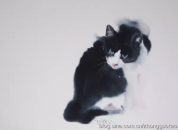 日本水墨画猫,国画猫水墨画