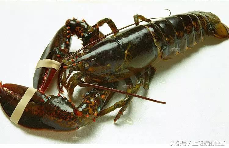 鸡头好吃还是鸭头好吃,鸭头鸡头不能吃的原因