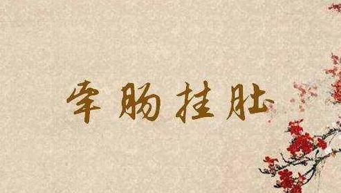 你是否真正了解中国成语的博大精深！