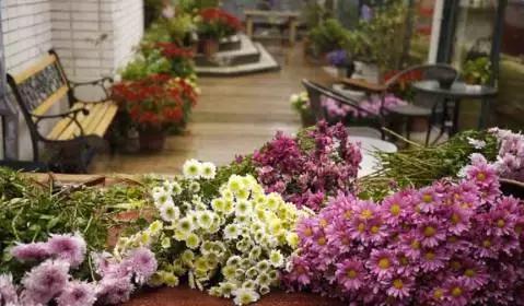 春风十里,不如睡你,南京这些特色旅馆,美貌又舒适!