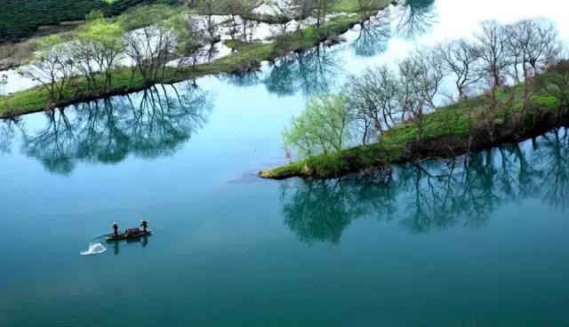三个提升学习能力的小技巧,提升心智的100个精髓