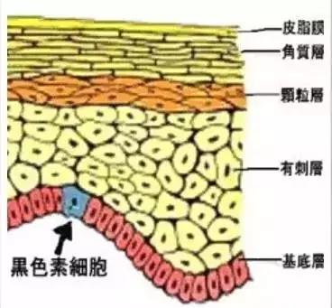 国足赢了嘛,国足赢了还会得癌症吗