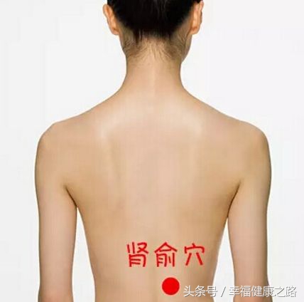 肾俞和哪个穴治腰痛,肾俞穴和腰阳关的穴位图