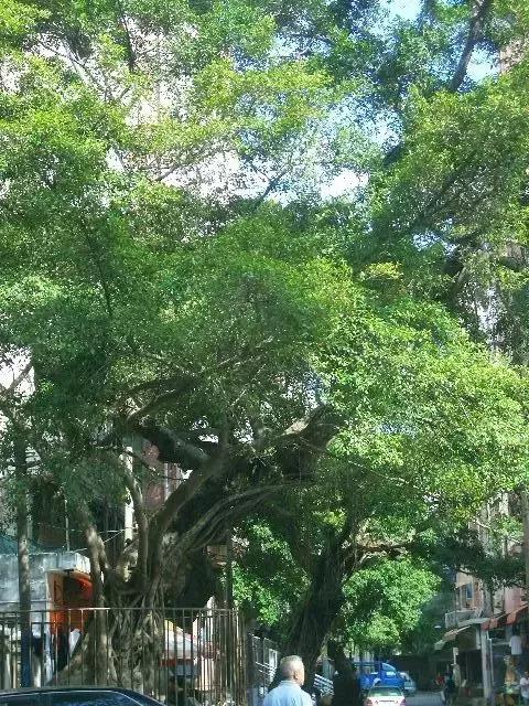 探寻湮于历史的余韵——南园村
