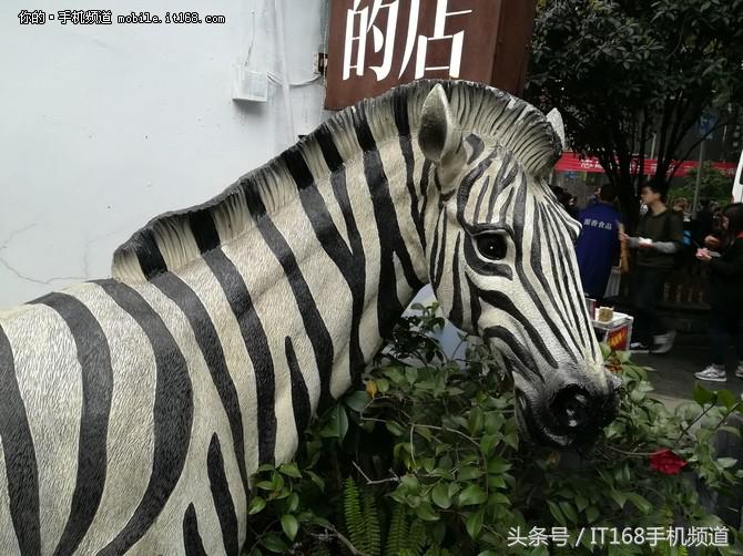 华为nova青春版评价,华为nova青春版1999元