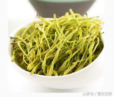 母猪一年四季中药保健方案,母猪的净化和保健