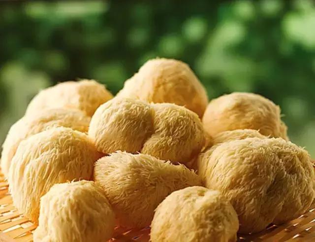 陈金海:陕西核桃已超千万亩,大多数种植户将面临滞销的挑战!