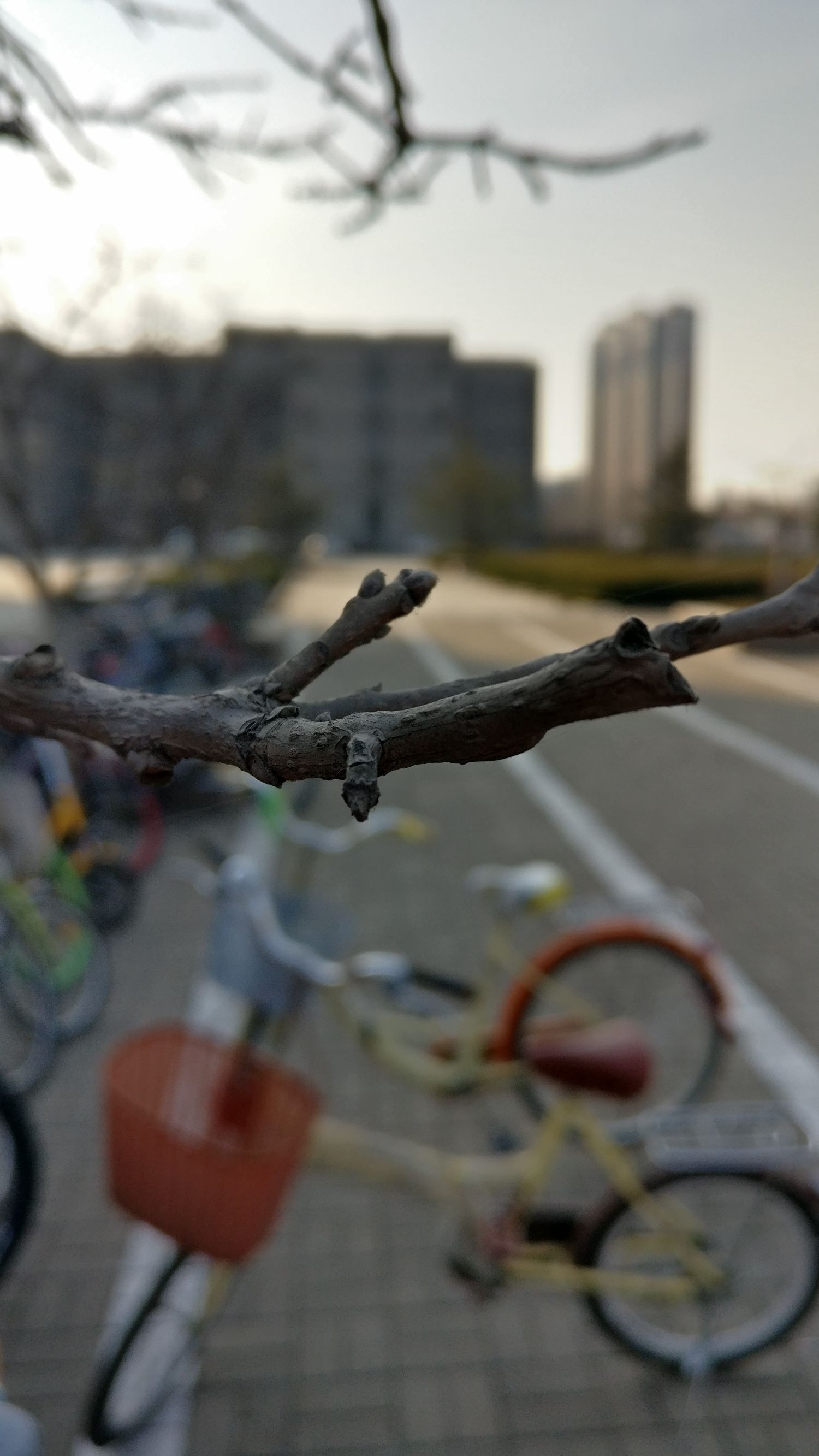 一加三t最新版本,一加ace3入手体验