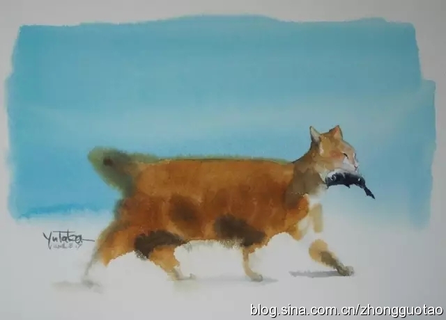 日本水墨画猫,国画猫水墨画