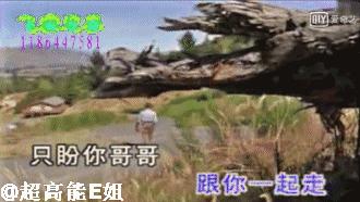 中*歌国**坛的“请回答1994”：他们都老了吧，他们在哪里呀？