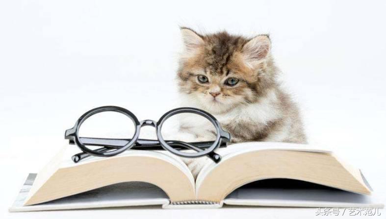 国足赢了教练反应,国足赢了教练的反应