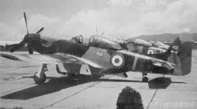 史上足球战争,历史上因为足球而停火的战争