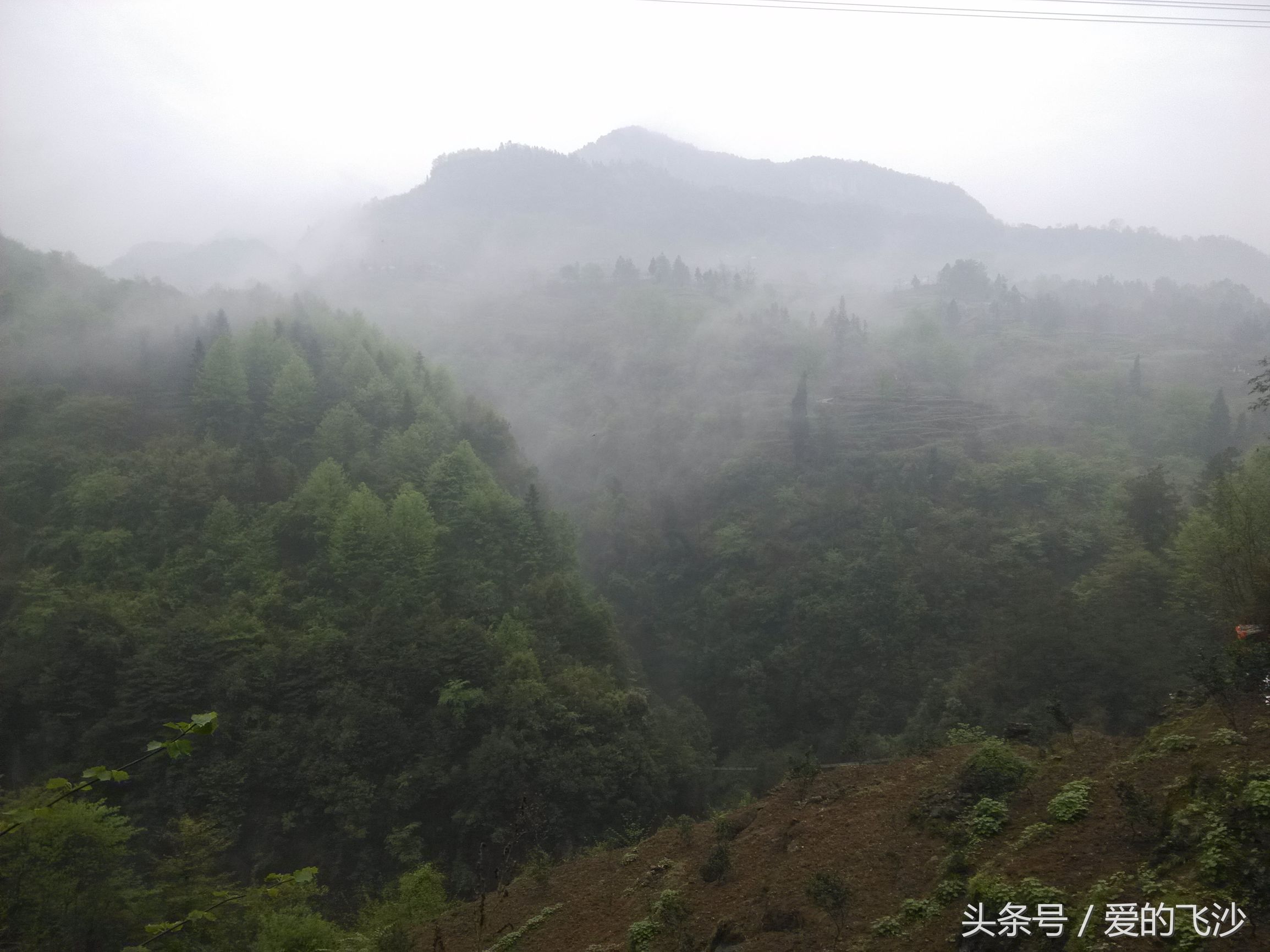 奇迹旅行南极新春之旅起航,奇迹旅行跨年夜
