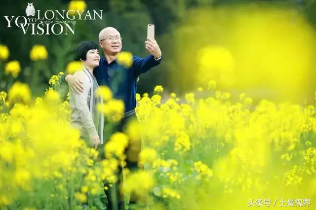 龙岩赏花景点,龙岩的花海