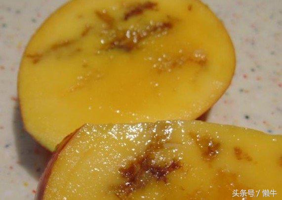 做一个新农人很容易吗,做新农人辛苦吗