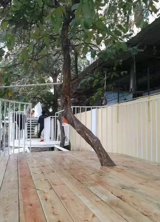 有求必应，及时满足是爱还是伤害？答案在这所幼儿园里