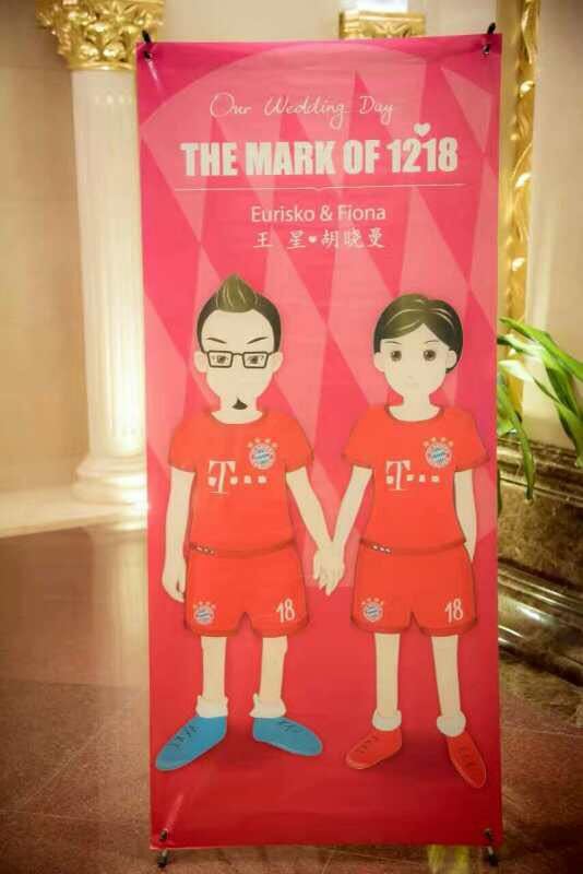 南部之星球迷版,南部之星慕尼黑