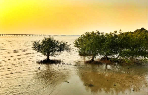 深圳有什么好玩的地方呢,深圳有什么好玩的地方适合小孩