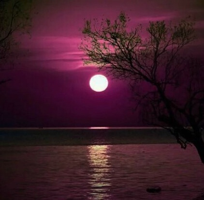 从三毛流浪记中感悟,三毛的经典一句话