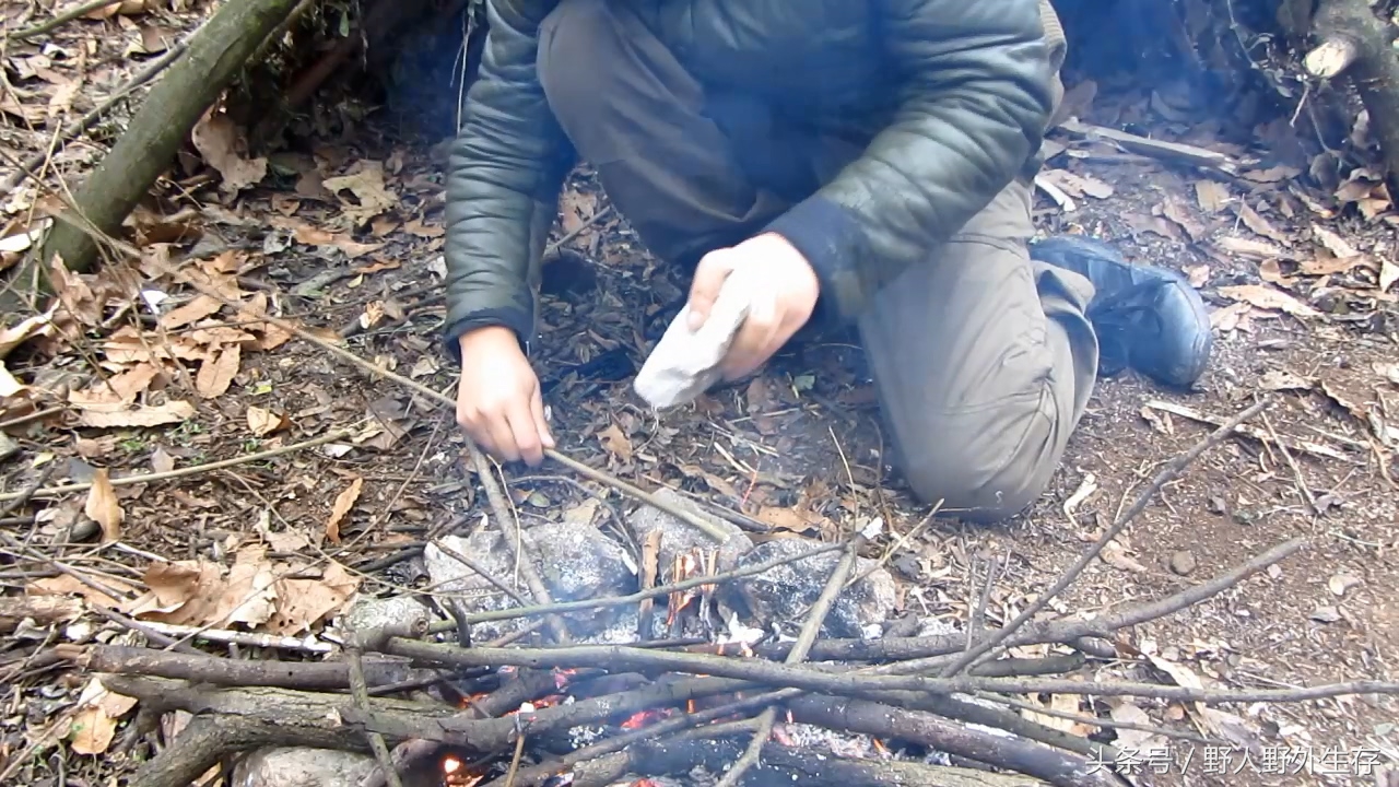 狩猎陷阱小视频,狩猎陷阱可以抓啥