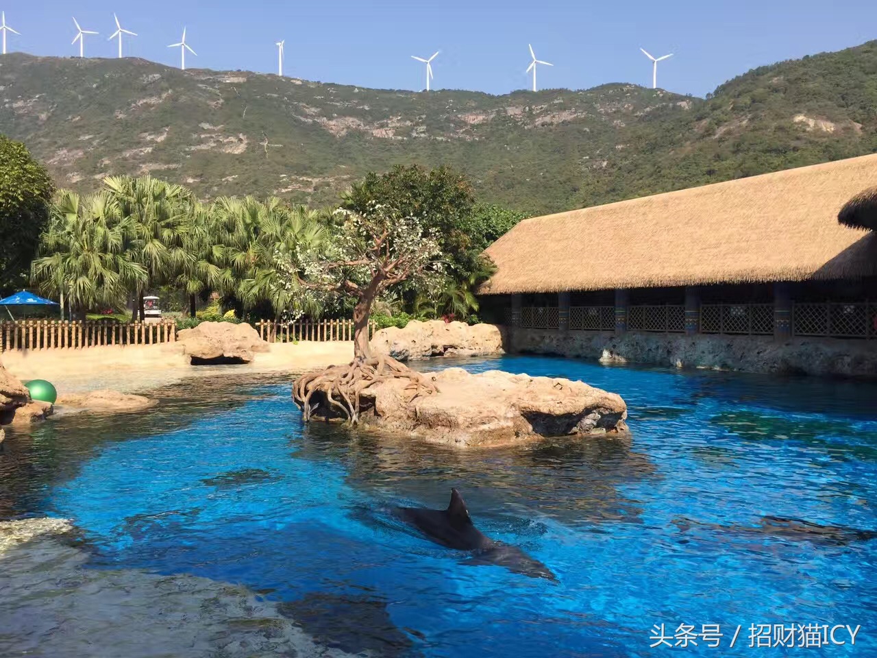 珠海长隆奇幻之旅,广州珠海长隆两天一夜攻略