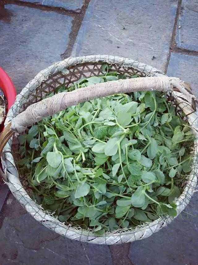 食在安徽-味道中庙，蓝头巾奶奶的豌豆头