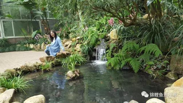 锦鲤水景三月天，赏心悦事别家院