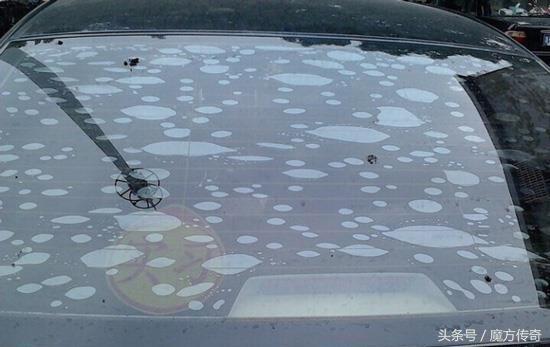 贴膜店里的太阳膜怎么选,贴正品太阳膜需要知道的四点